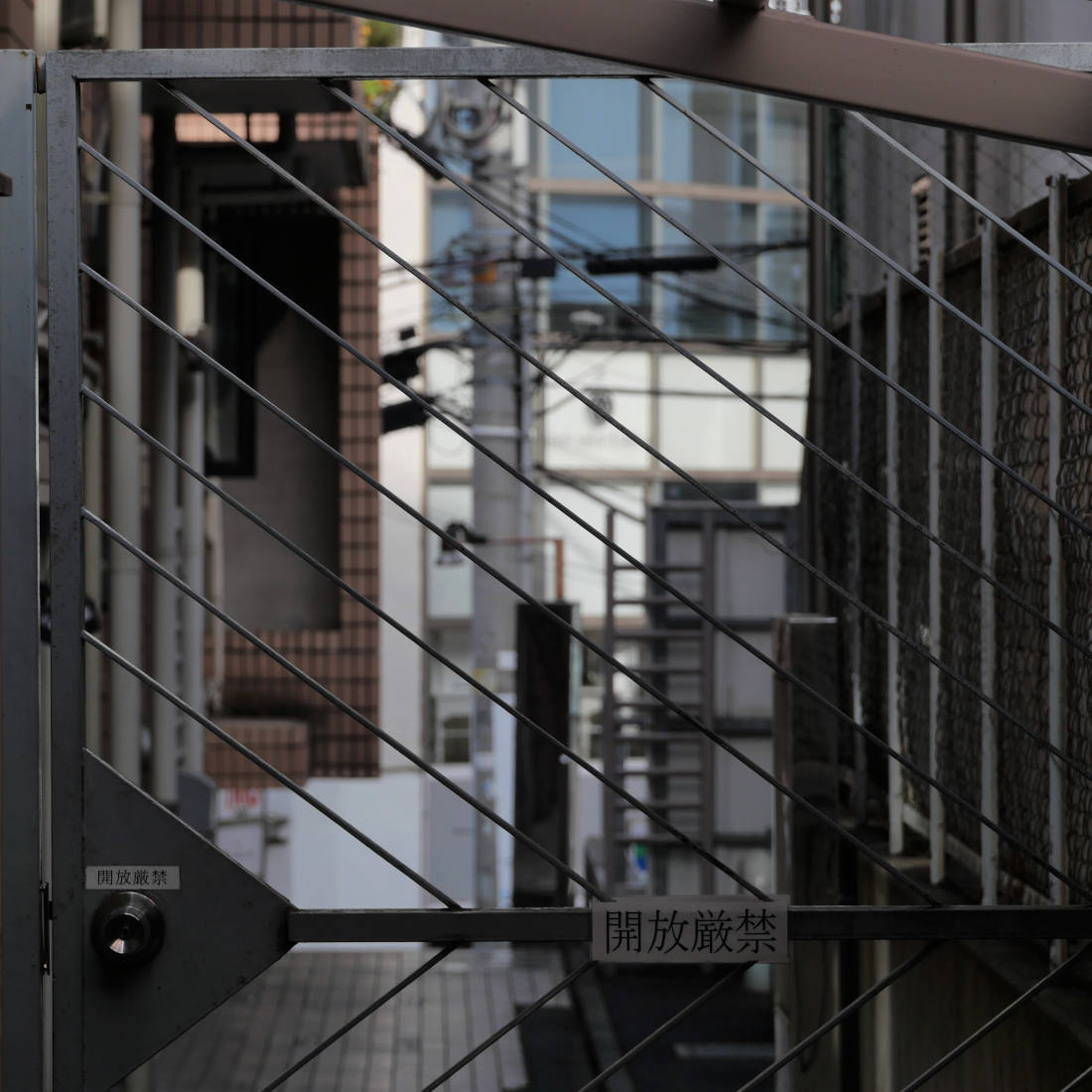 Tokyo - câbles électriques 2